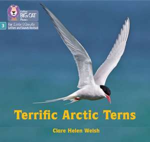 Terrific Arctic Terns de Clare Helen Welsh