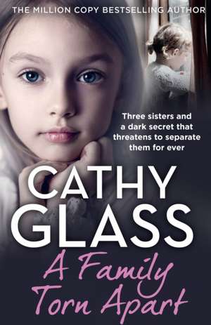 A Family Torn Apart de Cathy Glass