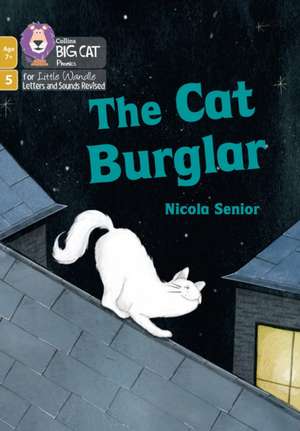 The Cat Burglar de Nicola Senior