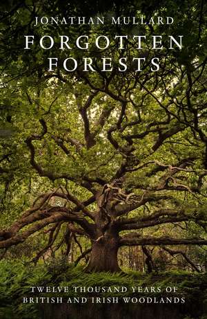Forgotten Forests de Jonathan Mullard