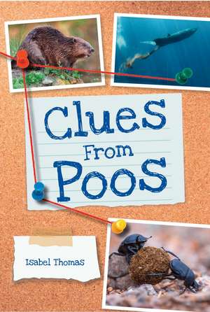 Clues from Poos de Isabel Thomas