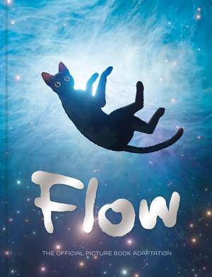 Flow Picture Book de Farshore