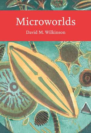 MICROWORLDS_NN LIB151 PB de David Wilkinson