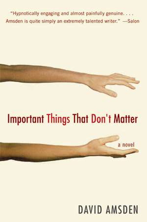 Important Things That Don't Matter: A Novel de David Amsden