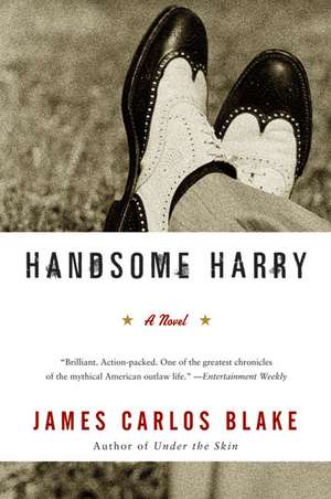 Handsome Harry: A Novel de James Carlos Blake