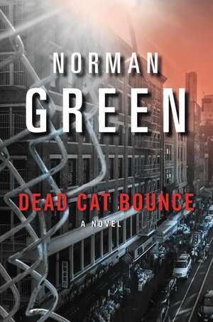 Dead Cat Bounce: A Novel de Norman Green