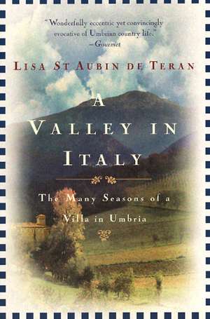 A Valley in Italy de LISA ST.AUBIN DE TERAN