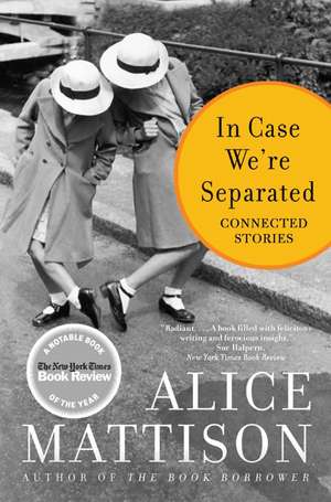 In Case We're Separated: Connected Stories de Alice Mattison