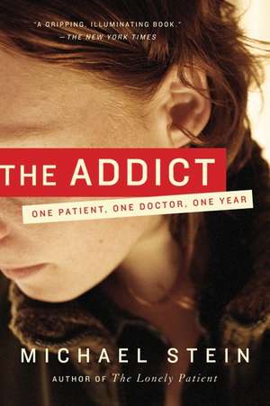 The Addict: One Patient, One Doctor, One Year de Michael Stein