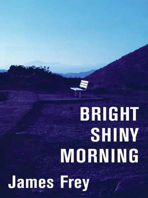 Bright Shiny Morning de James Frey