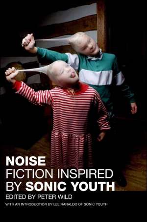 Noise: Fiction Inspired by Sonic Youth de Peter Wild