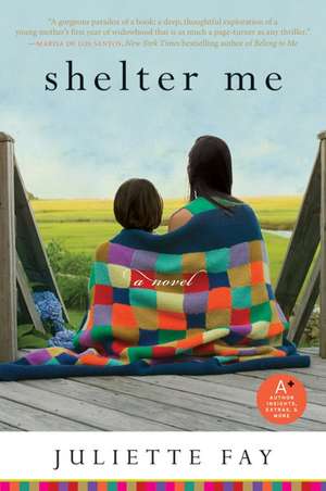 Shelter Me de Juliette Fay