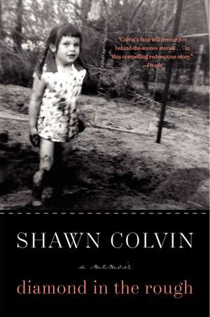 DIAMOND ROUGH PB de Shawn Colvin