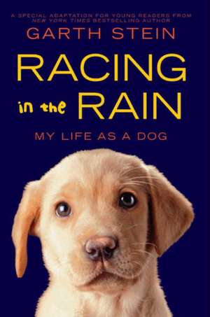 Racing in the Rain: My Life as a Dog de Garth Stein