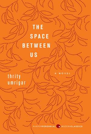 Space Between Us, The de Thrity Umrigar