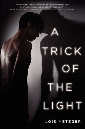 A Trick of the Light de Lois Metzger