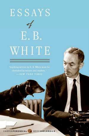 Essays of E. B. White de E B White