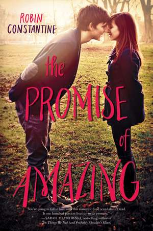 The Promise of Amazing de Robin Constantine