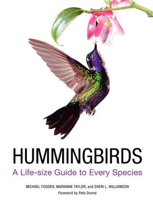 Hummingbirds: A Life-size Guide to Every Species de Michael Fogden