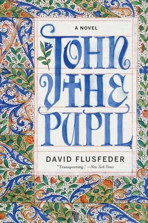 John the Pupil: A Novel de David Flusfeder