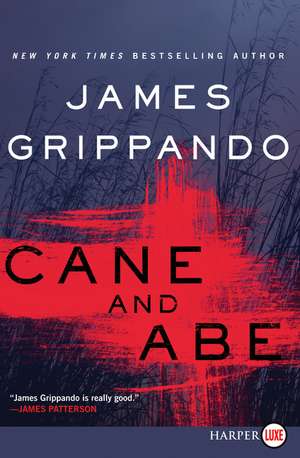 Cane and Abe de James Grippando