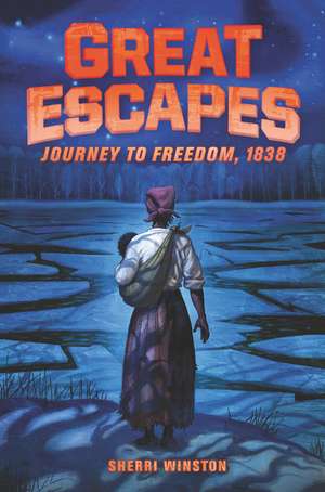 Great Escapes #2: Journey to Freedom, 1838 de Sherri Winston