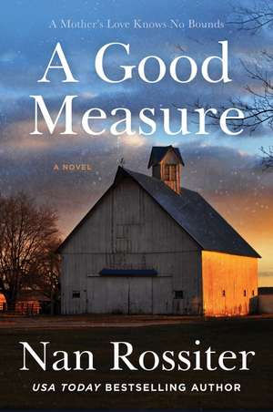 A Good Measure: A Novel de Nan Rossiter