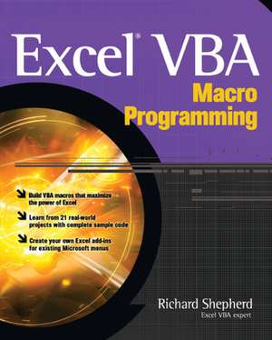 Excel VBA Macro Programming de Richard Shepherd