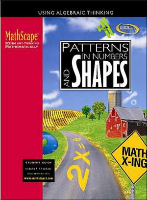 Patterns in Numbers and Shapes: Using Algebraic Thinking de McGraw-Hill Education