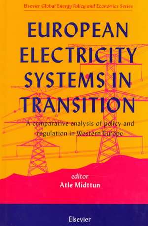 European Electricity Systems in Transition: A comparative analysis of policy and regulation in Western Europe de A. Midttun