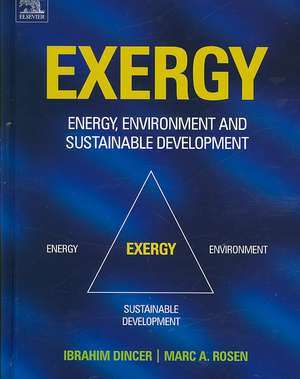 Exergy: Energy, Environment and Sustainable Development de Marc A Rosen