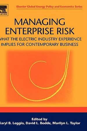 Managing Enterprise Risk: What the Electric Industry Experience Implies for Contemporary Business de Karyl B Leggio