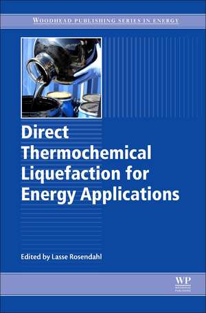 Direct Thermochemical Liquefaction for Energy Applications de Lasse Rosendahl