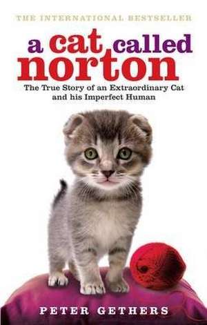 A Cat Called Norton de Peter Gethers