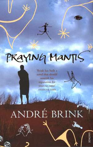 Praying Mantis de Andr Brink