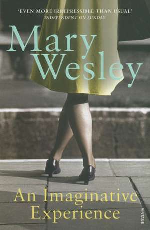 An Imaginative Experience de Mary Wesley