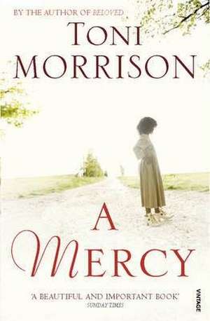 A Mercy de Toni Morrison