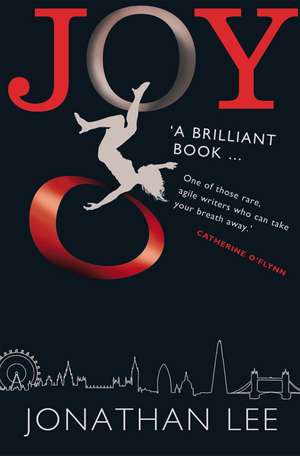 Joy de Jonathan Lee
