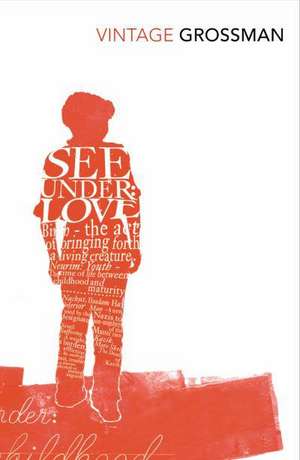 See Under Love de David Grossman