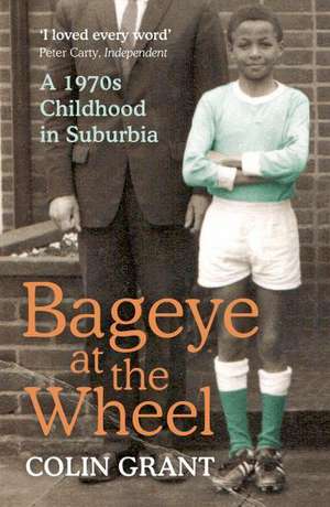 Bageye at the Wheel de Colin Grant