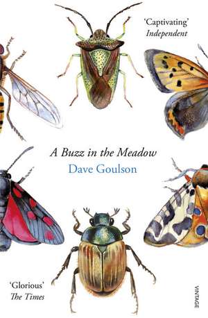 A Buzz in the Meadow de Dave Goulson