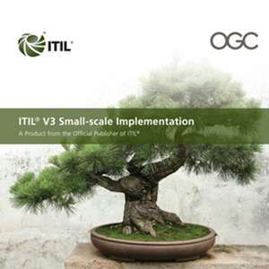 ITIL Planning to Implement Service Management de Colin Rudd