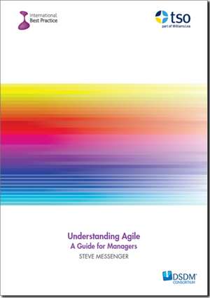 Understanding Agile de Steve Messenger