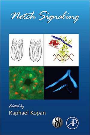 Notch Signaling de Raphael Kopan