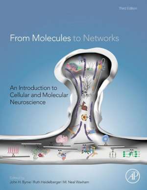 From Molecules to Networks: An Introduction to Cellular and Molecular Neuroscience de John H. Byrne