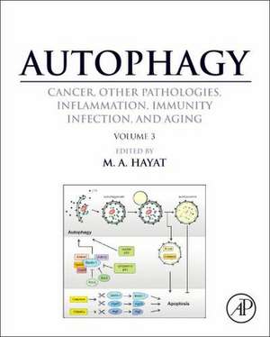 Autophagy: Cancer, Other Pathologies, Inflammation, Immunity, Infection, and Aging: Volume 3 - Role in Specific Diseases de M. A. Hayat