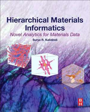 Hierarchical Materials Informatics: Novel Analytics for Materials Data de Surya R. Kalidindi