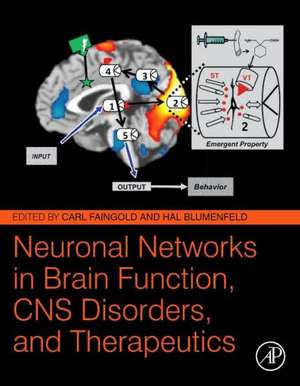 Neuronal Networks in Brain Function, CNS Disorders, and Therapeutics de Carl Faingold