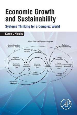 Economic Growth and Sustainability: Systems Thinking for a Complex World de Karen L. Higgins