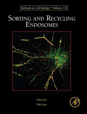 Sorting and Recycling Endosomes de Wei Guo